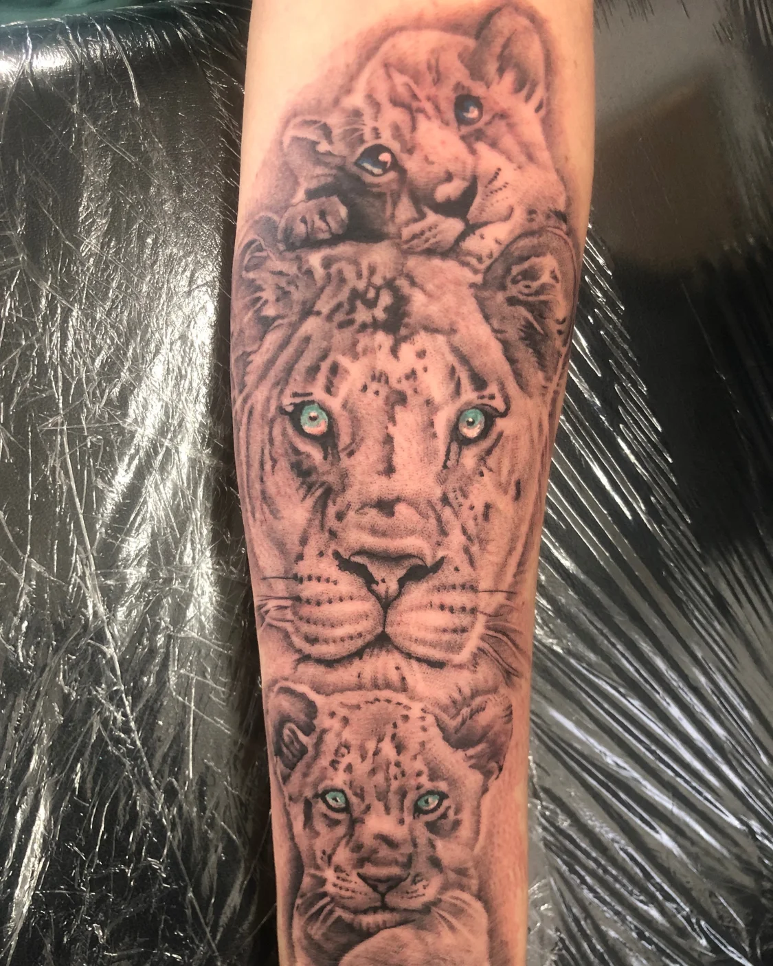 Cover-Up Tattoo in Bergisch Gladbach